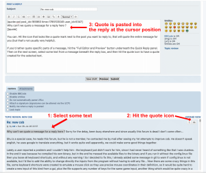 quoting-messages-dm-forum.png